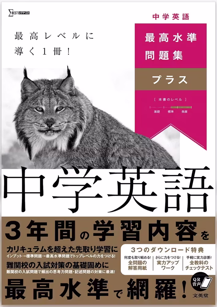 最高水準問題集プラス 中学英語