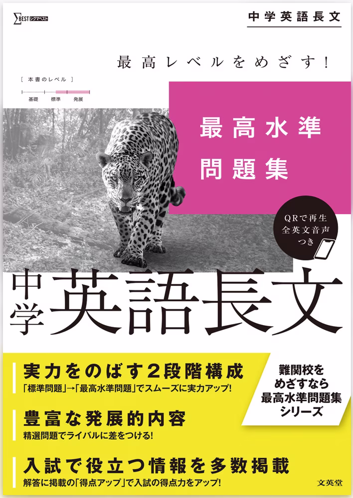 最高水準問題集 中学英語長文