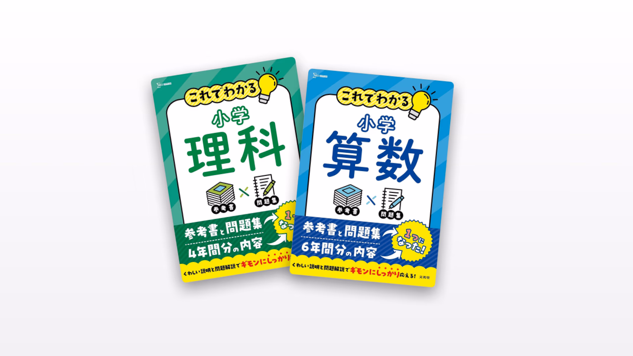 小学これでわかる