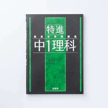 もったいない本舗書名カナ最高水準特進問題集英文法・英作文中学２～３年/文英堂/文英堂